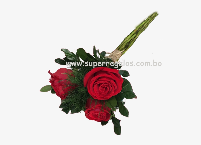Bouquet Rosas Envi Desayunos - Garden Roses, transparent png #5480410