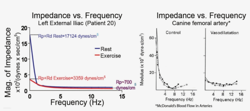 Frequency Content Of Impedance From The Literature - Plot, transparent png #5481351