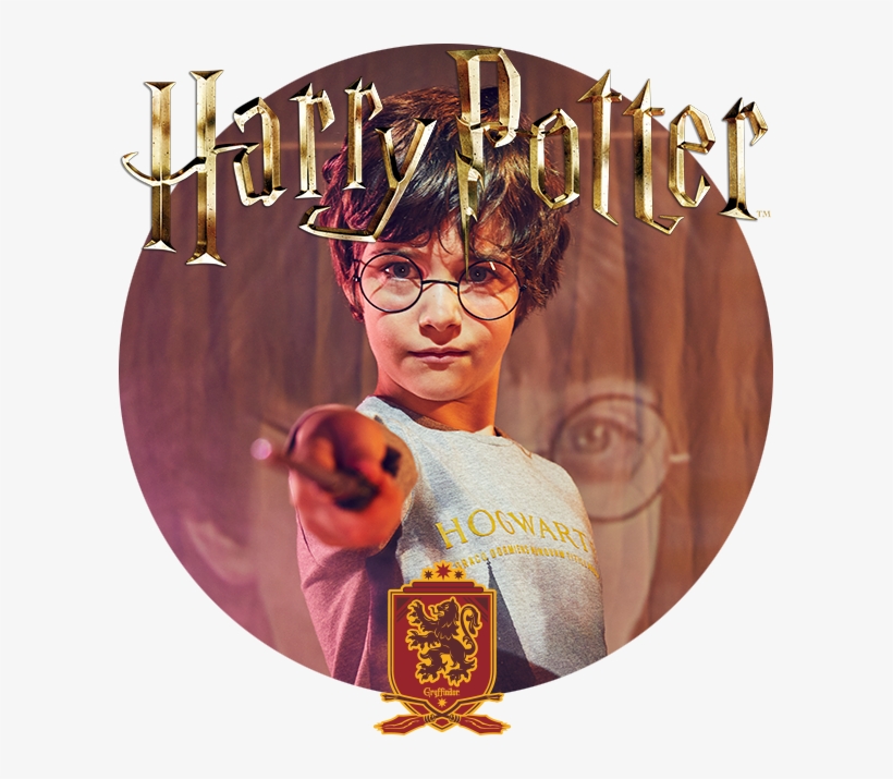 Harry Potter And Ikks Collection - Wappen Harry Potter | Gryffindor Quidditch Mousepads, transparent png #5482298