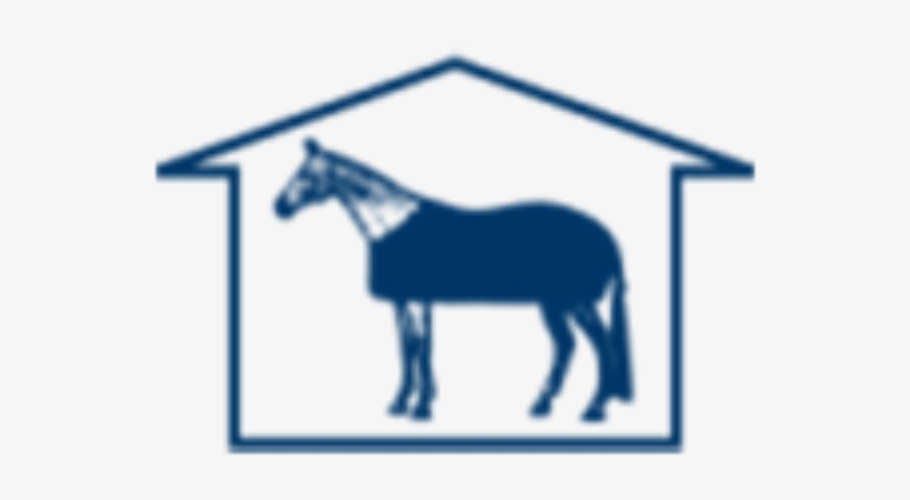Four Seasons Horse Show, transparent png #5482500