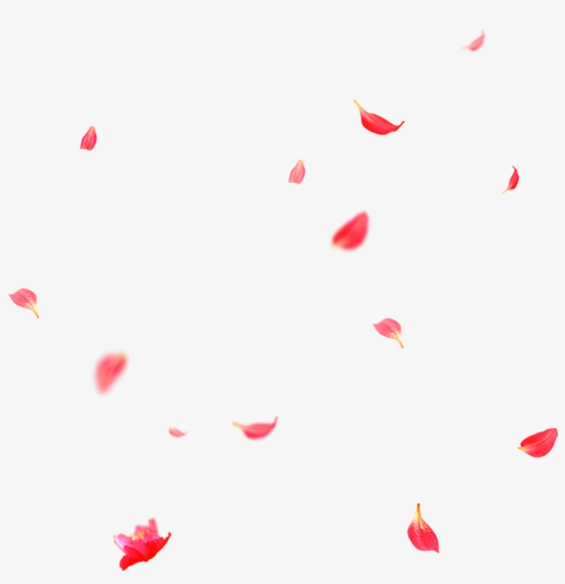 Beautiful Flower Petals Falling Png - Petal, transparent png #5482883