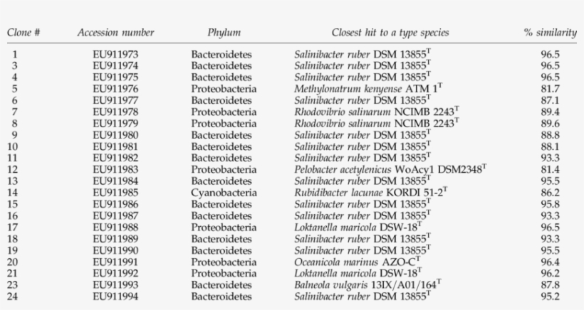 Clone Library For King Lake - Lake, transparent png #5483674