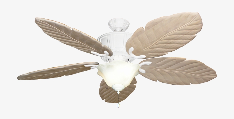 Spacious Palm Leaf Ceiling Fan Blades Of Blade Glamorous - 40 Ceiling Fans With Light, transparent png #5484186