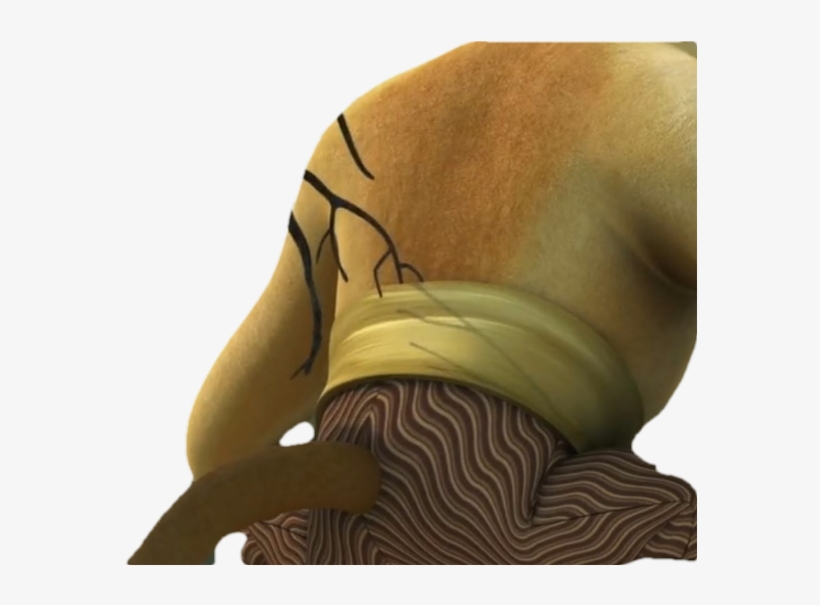 Monkeyfullbodysitting - Visual Arts, transparent png #5484461