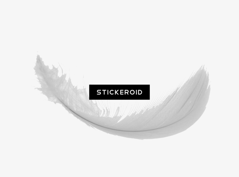 Feather S - Monochrome, transparent png #5485069