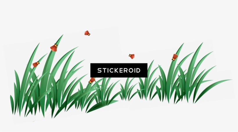 Grass Green Grass - Portable Network Graphics, transparent png #5486104