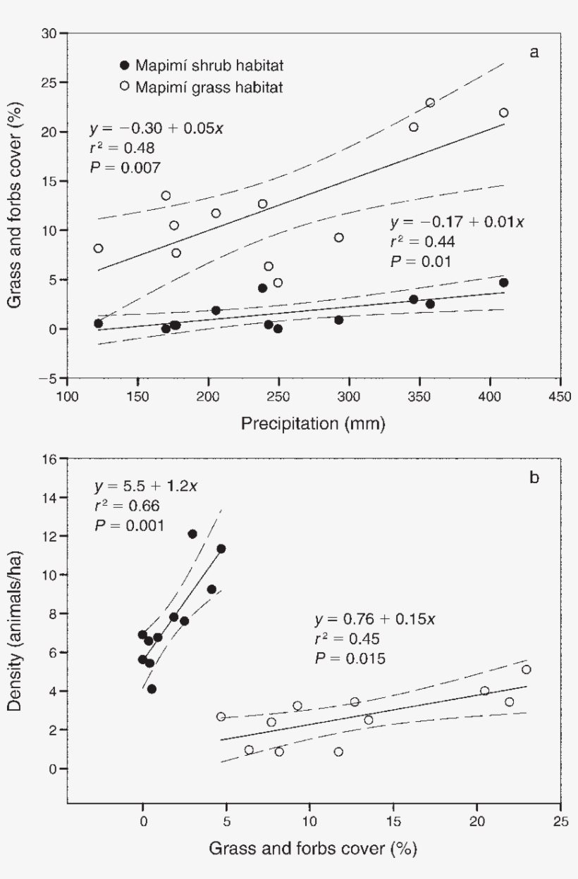 Relationship Between Percent Cover Of Grass And Forbs - Diagram, transparent png #5486285