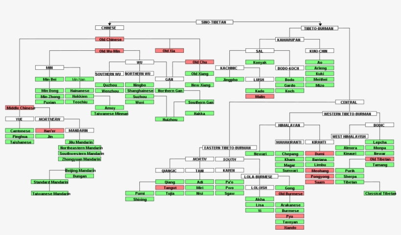 Other Tibeto-burman Languages - Sino Tibetan Language Tree, transparent png #5489251