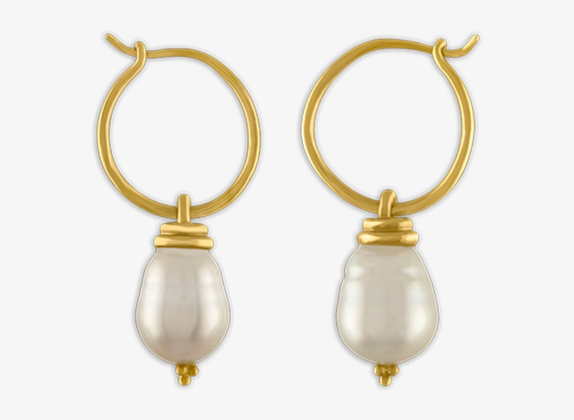 South Sea Pearl Hoop And Hook Earrings - Earring, transparent png #5491417
