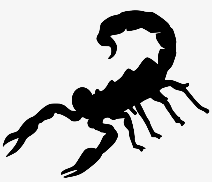 Download Png - Cartoon Scorpion, transparent png #5492715