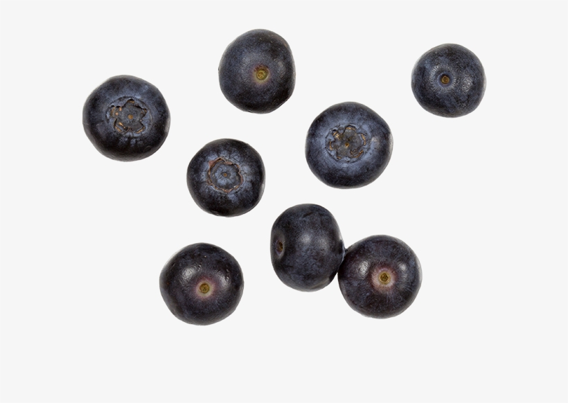 Organic Blueberries - Bilberry, transparent png #5493507