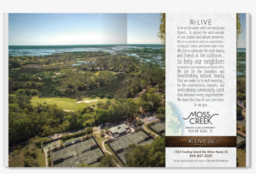 Moss, transparent png #5493942