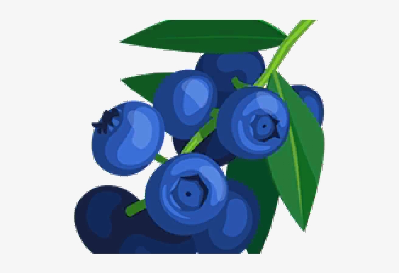 Blueberry Cliparts - Blueberry, transparent png #5493948