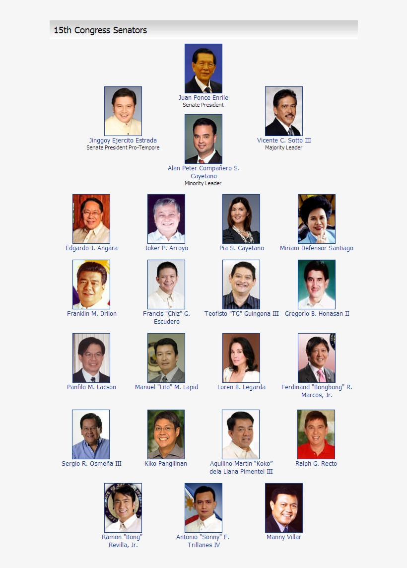 Image - Senators Of The Philippines 2010, transparent png #5495177