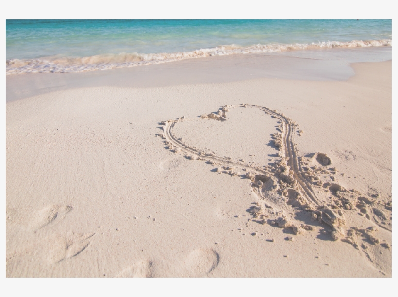 Dominique Lamb Ceo Nra Australia - Singing Sand, transparent png #5495248