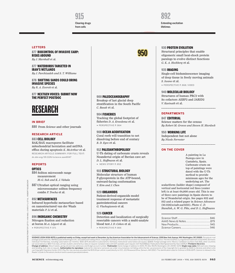 Document, transparent png #5495768