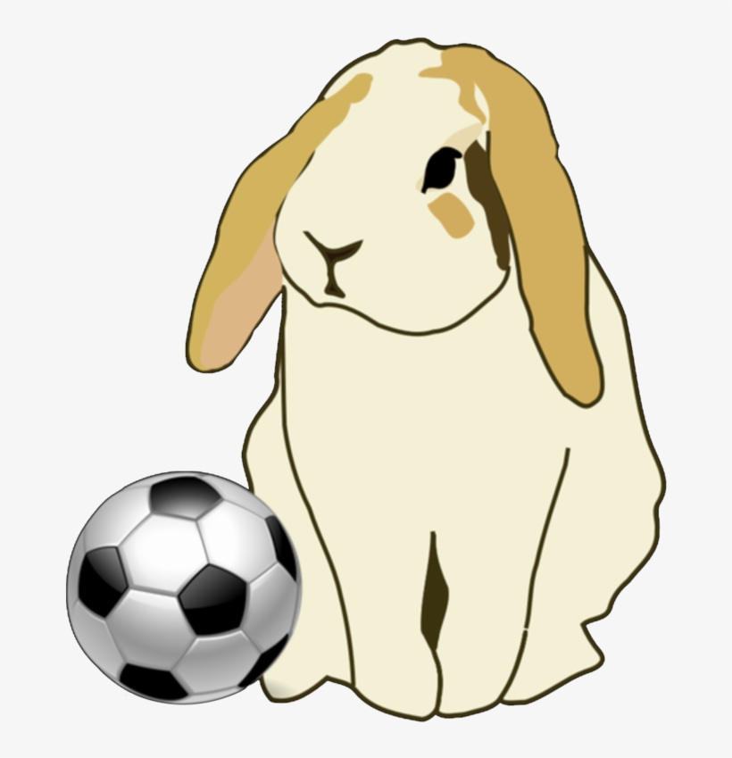 Bunny - Lop Rabbit Throw Blanket, transparent png #5496688
