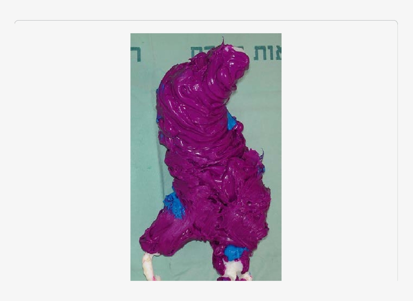 A White Silicone Shell Around A 3d Aaa Model - Silicone, transparent png #5498844