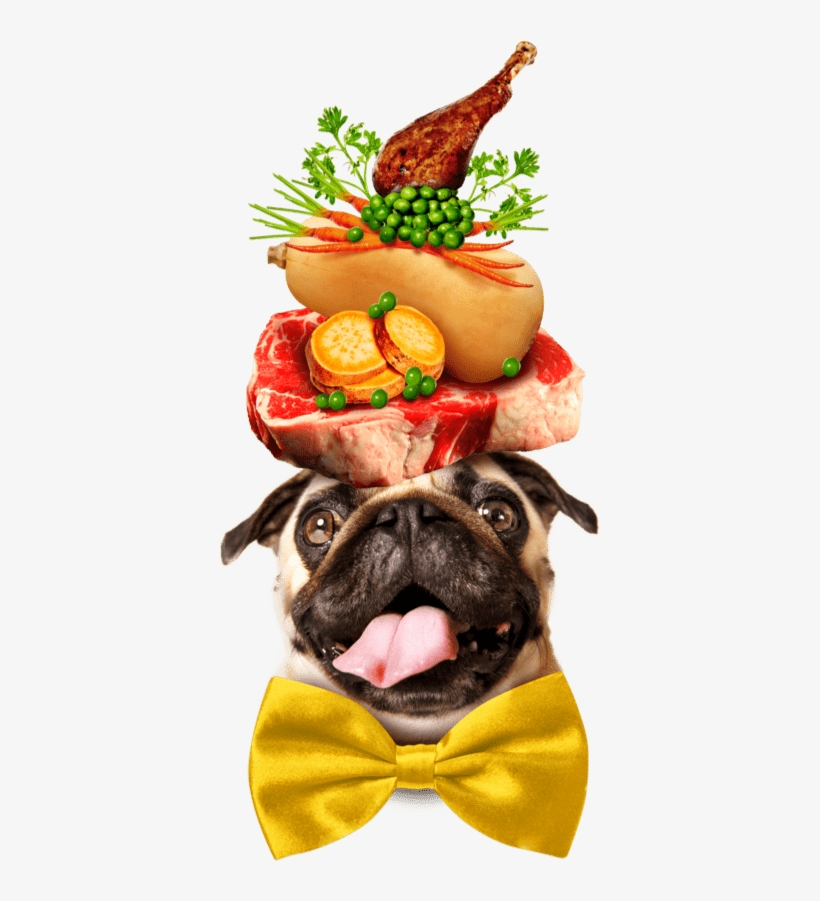 A Pug Dog Wearing A Large Yellow Bowtie, Balancing - Pug Principles: Celebrating The Canine Credo [book], transparent png #5498898
