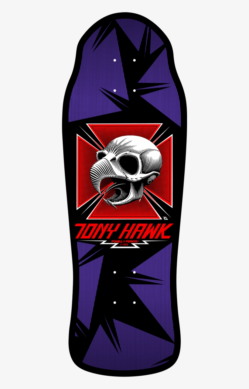 Hawk- Classic Hawk Skull Graphic With Background Layers - Tony Hawk Bird Skeleton, transparent png #5499460