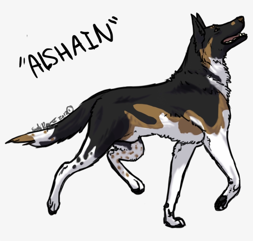 Jpg Stock Rsk Alshain Dog Panda By Esaki On - Anime Male German Shepherd, transparent png #550008