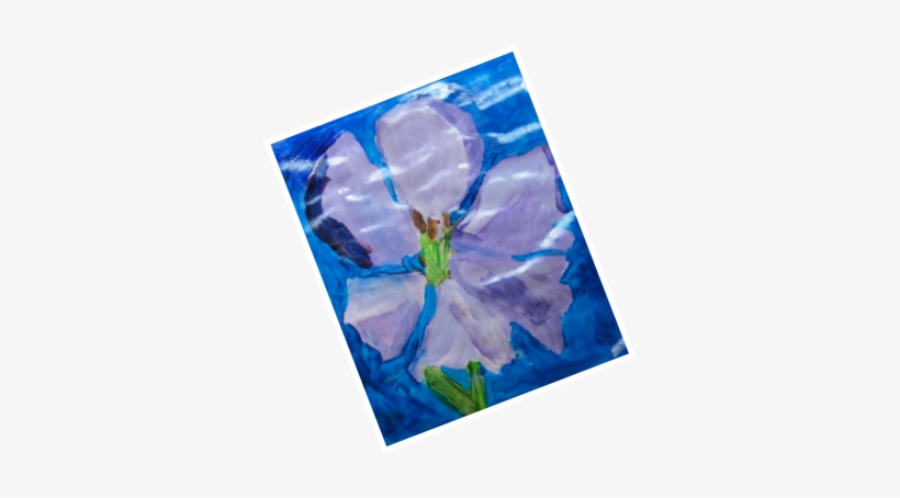 Picture - Morning Glory, transparent png #550193