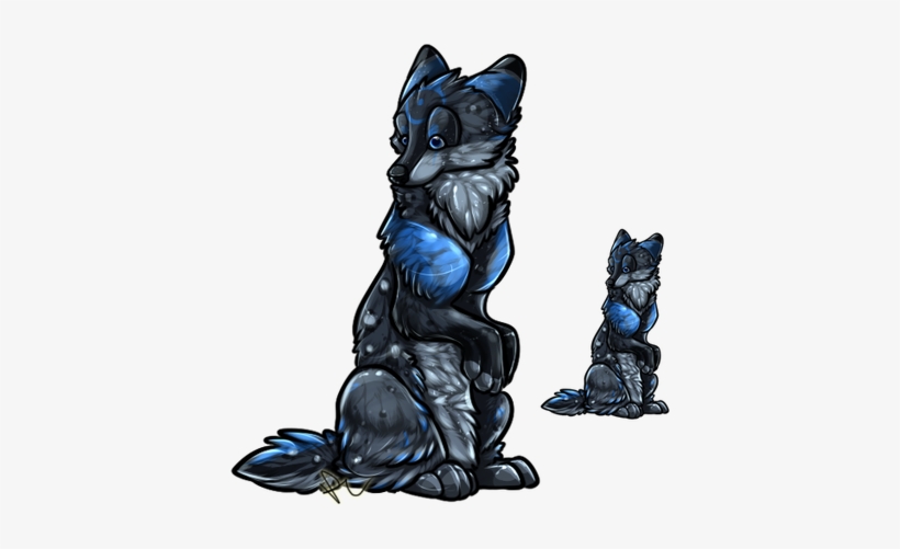 Schipperke, transparent png #550279