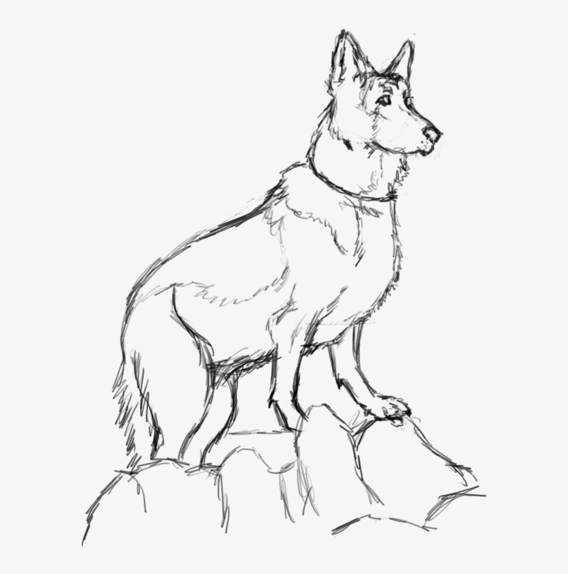 German Shepherd Drawing At Getdrawings - Drawing, transparent png #550359