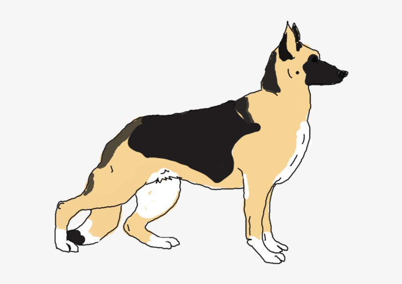Panda German Shepherd Gender - Old German Shepherd Dog, transparent png #550459