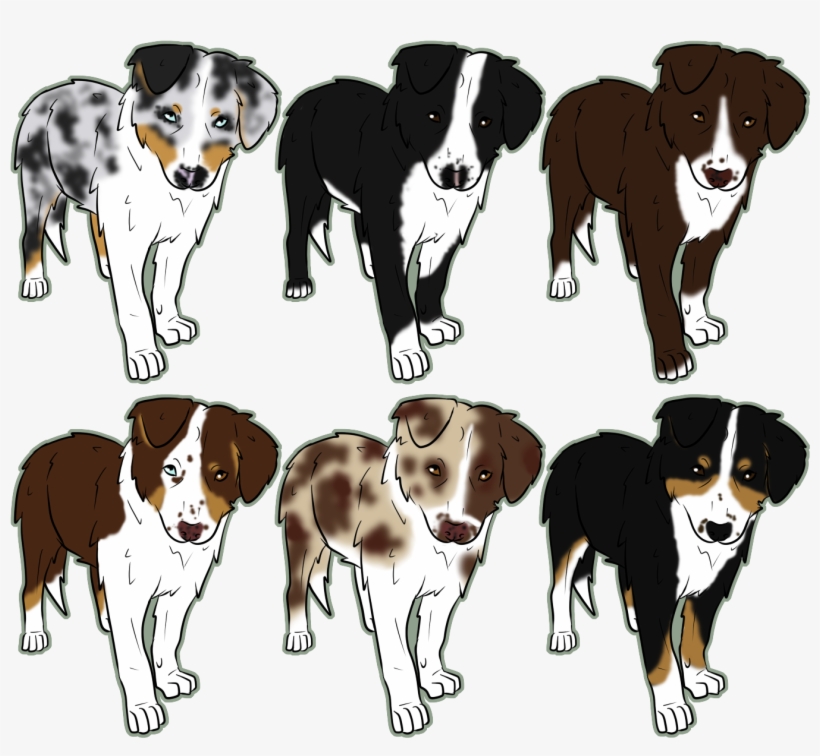 Australian Shepherd Clipart Australian Shepherd Herding - Australian Shepherd Drawing Easy, transparent png #550516