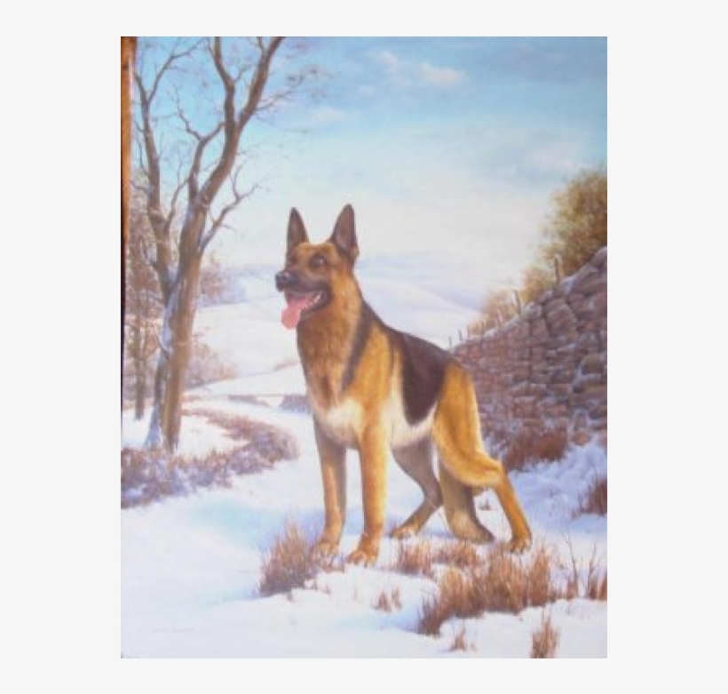 Alsatian On Guard - 029 Alsation In The Snow Greeting Card, transparent png #550563