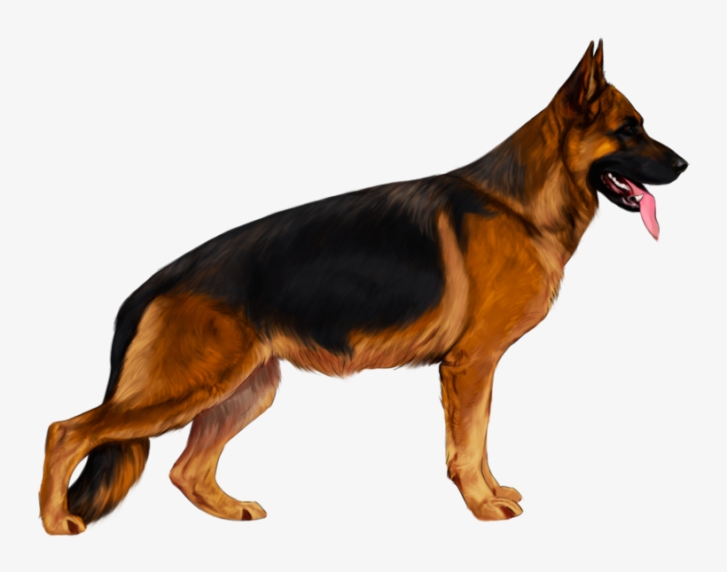 Drawing Dark German Shepherd - German Shepherd Transparent Png, transparent png #550643