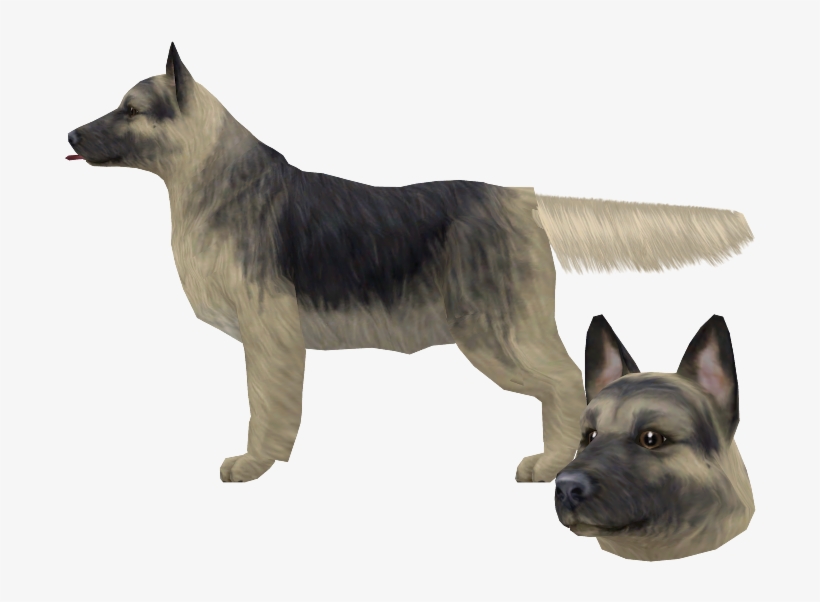 Download Zip Archive - Old German Shepherd Dog, transparent png #551015