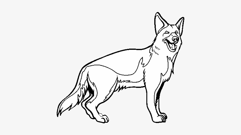 Head At Getdrawings Com Free For Personal - Dessin De Chien Berger Allemand, transparent png #551100