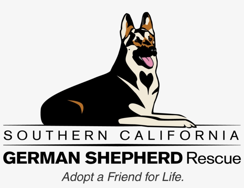 German Shepherd, transparent png #551102