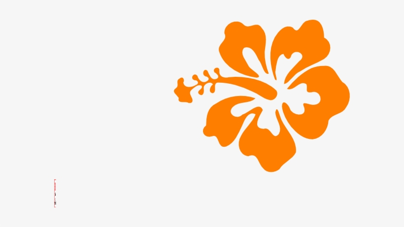 Orange Hibiscus Clip Art - Hibiscus Clip Art, transparent png #551381
