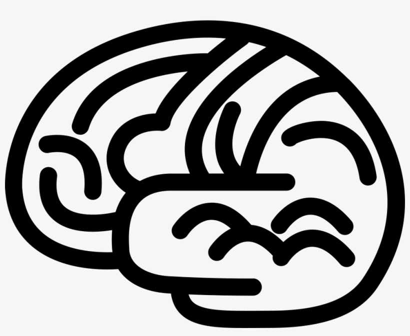 Brain Body Organ Outline - Brain, transparent png #551723
