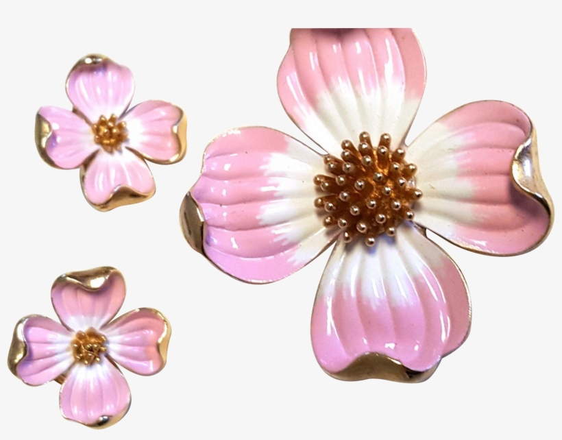Dogwood Vector Watercolor - Library, transparent png #552247
