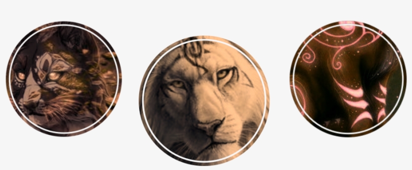 Heathens Tribal Scars - Masai Lion, transparent png #552350
