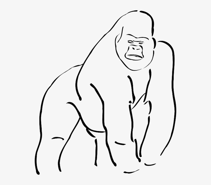 Simple, Outline, Body, Art, Long, Gorilla, Limbs, Limb - Sketch Of A Gorilla, transparent png #552451