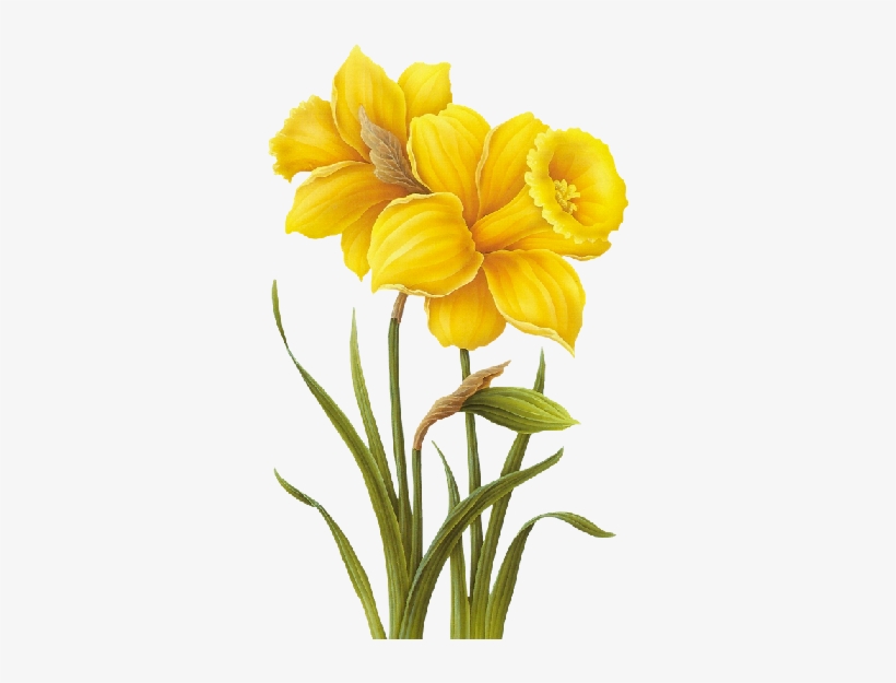 Image Du Blog Marybleue - Yellow Flower Drawing Png, transparent png #552480
