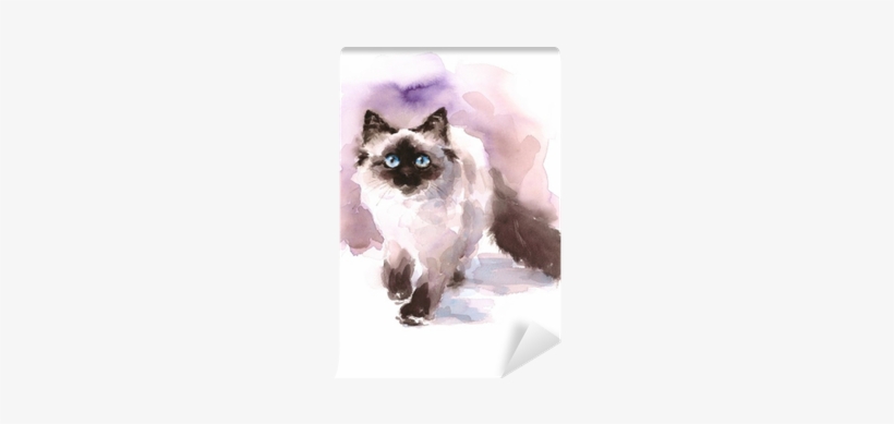 Watercolor Siamese Ragdoll Cat Walking Looking Up Hand - Watercolor Paintings Of Birman Cats, transparent png #553097