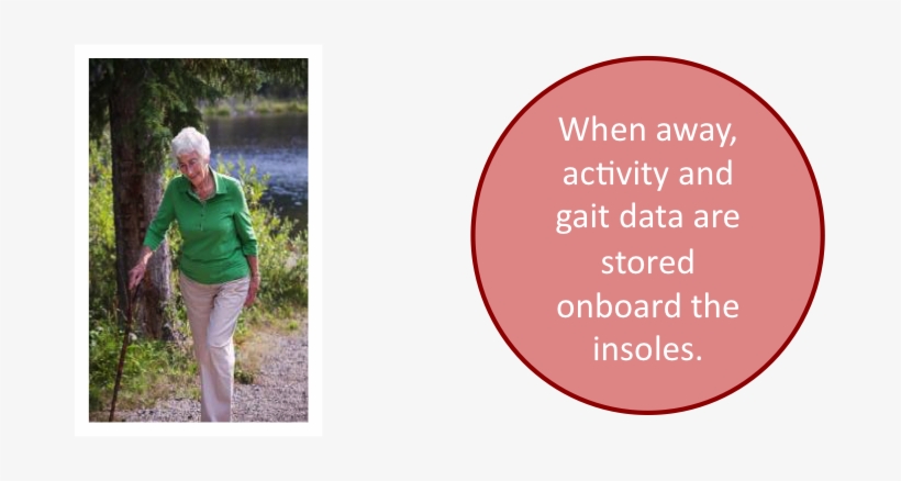 Walking - Grandma Walking, transparent png #553208