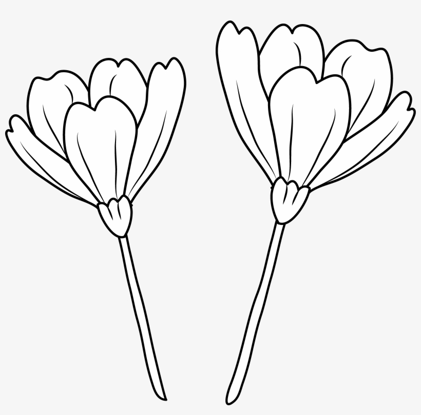 Petal Clipart Poppy Petal - Line Art, transparent png #553701