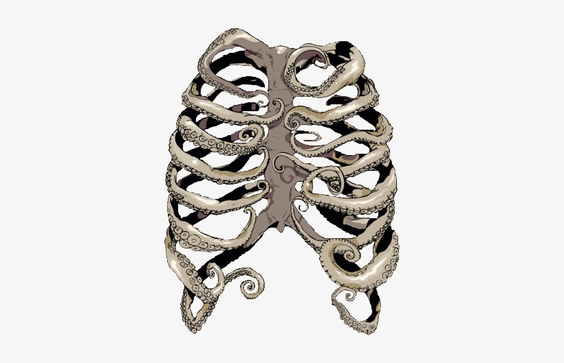 Octopus Rib Cage, transparent png #554433