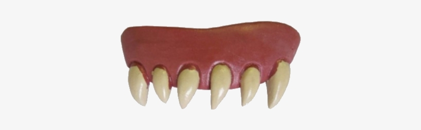 Horror Teeth Dentures - Creative Teeth Animal Original, transparent png #554460