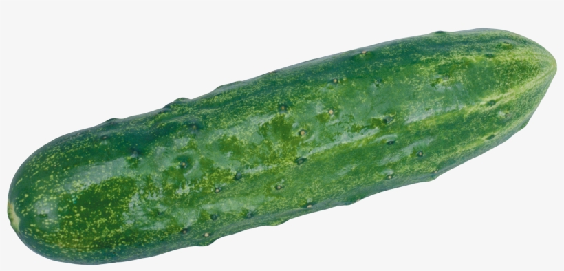 Belt Transparent Png Sticker - Cucumber Transparent, transparent png #554986