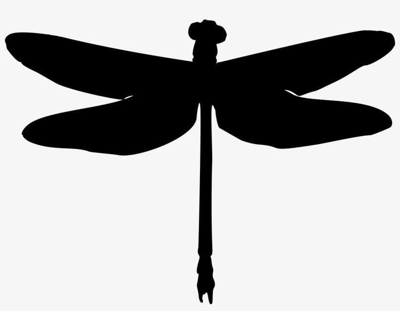 Graphic Black And White Library Silhouette Clip Art - Dragonfly Silhouette, transparent png #555140