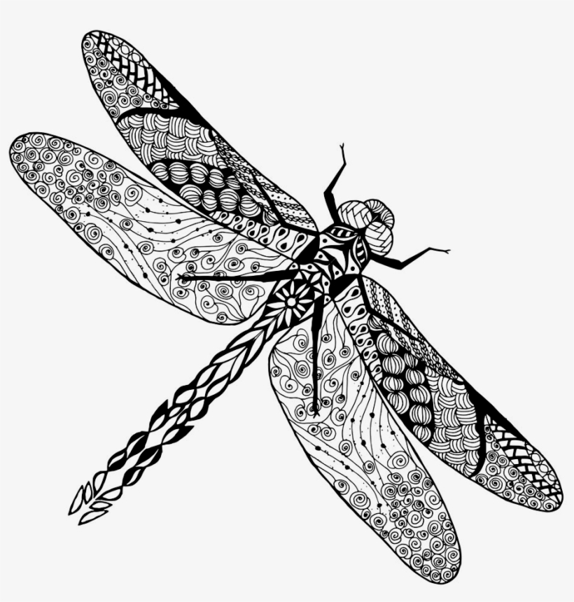 Image Tattoo Dragonfly Stock Photography Insect Transprent - Dragonfly Sketch, transparent png #555402