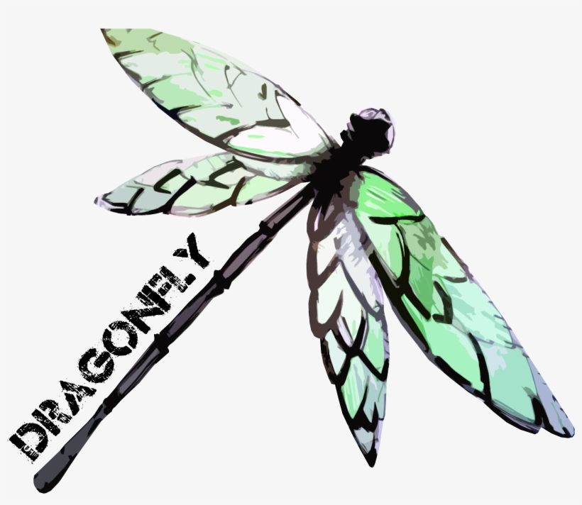 Dragonfly Pictures - Qygjxz - Pivovar Dragonfly, transparent png #555468